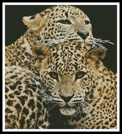 Leopards - Artecy Cross Stitch
