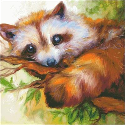 Raccoon Eyes - Charting Creations