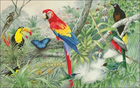 Jewels Of The Rainforest - Charting Creations