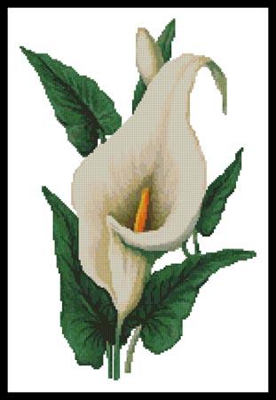 Calla Lily - Artecy Cross Stitch