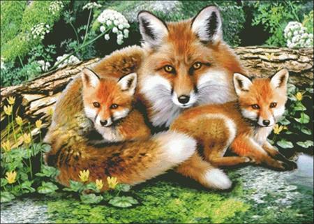 Foxes - Charting Creations
