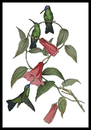 Green And Blue Sapphire Hummingbirds - Artecy Cross Stitch