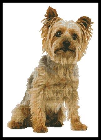 Silky Terrier - Artecy Cross Stitch