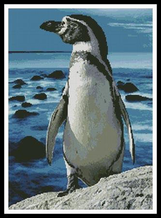 Penguin Photo - Artecy Cross Stitch