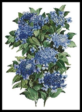 Blue Hydrangea - Artecy Cross Stitch