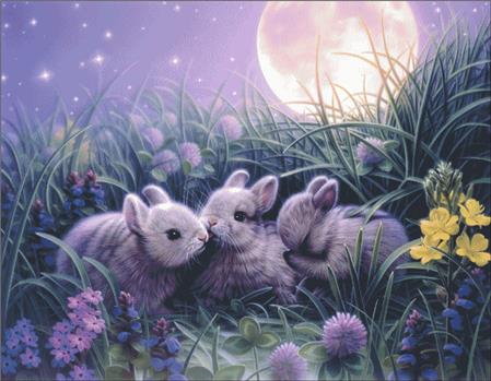 Moon Babies - Charting Creations