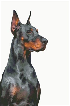 Doberman - Charting Creations