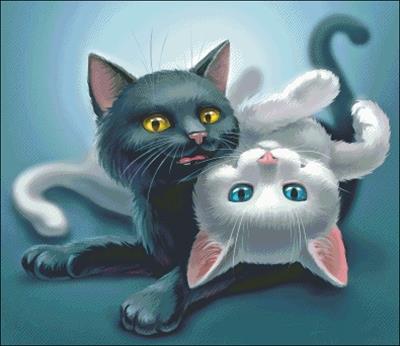 Ebony And Ivory - Charting Creations