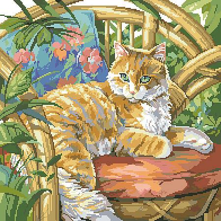 Cat In The Sun - Kooler Design Studio