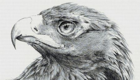 Eagle by Simon Paine - Paine Free Crafts