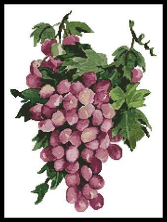 Purple Grapes - Artecy Cross Stitch
