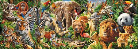Animal Mix Panorama by Adrian Chesterman - Paine Free Crafts