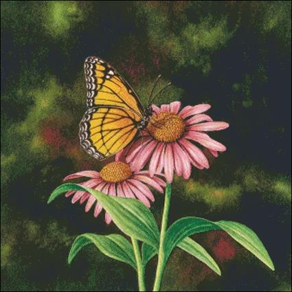 Coneflower Of Choice - Charting Creations