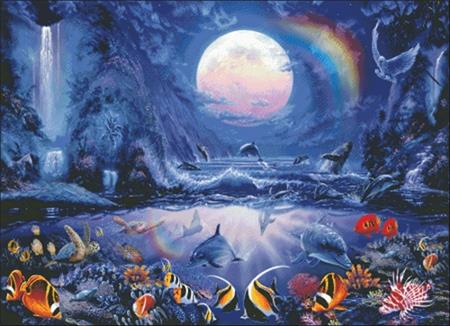 Dolphin Cove - Charting Creations