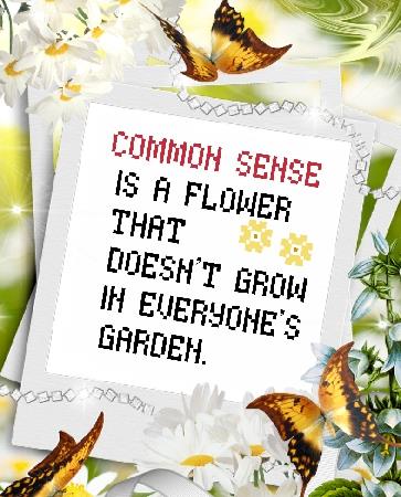 Common Sense - Iris Originals