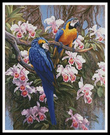 Jungle Majesty - Artecy Cross Stitch