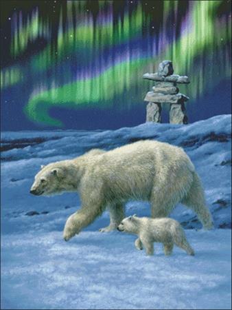 Northern Lights - Charting Creations