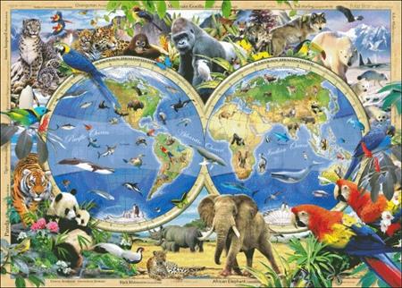 Rare And Endangered - Charting Creations