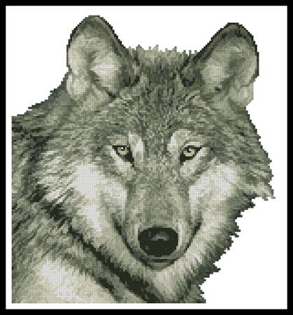 Wolf Close Up (No Background) - Artecy Cross Stitch