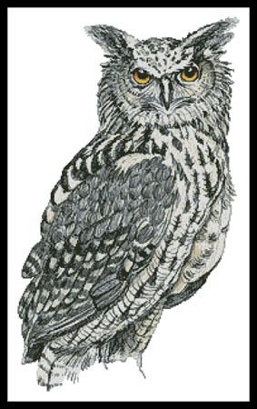 Eurasian Eagle Owl - Artecy Cross Stitch