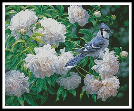 Blue Jay In Peonies - Artecy Cross Stitch