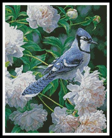 Blue Jay In Peonies (Crop) - Artecy Cross Stitch