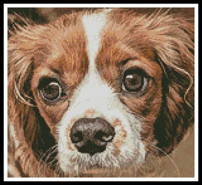 Cavalier King Charles - Artecy Cross Stitch