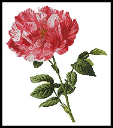 Pink Floral - Artecy Cross Stitch