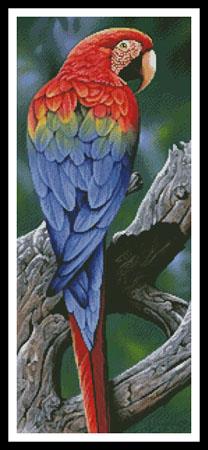 Scarlet Macaw Painting - Artecy Cross Stitch