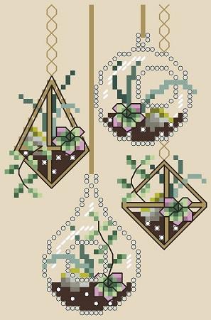 Hanging Succulents - Shannon Christine Designs