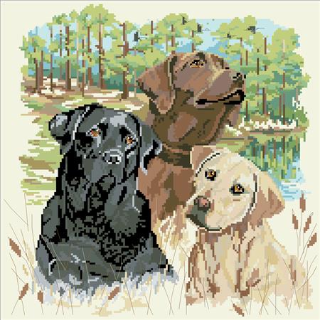 Man’s Best Friend - Kooler Design Studio