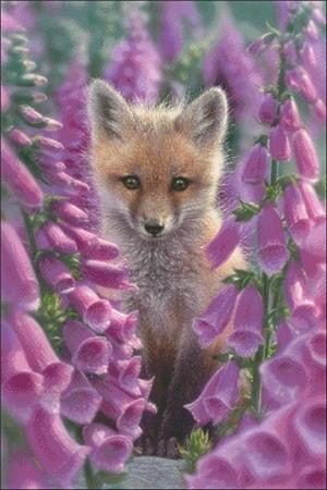 Foxgloves - Charting Creations