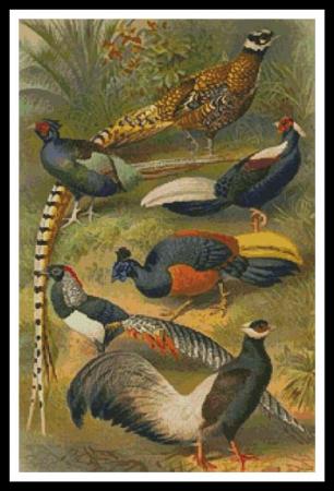 Birds - Artecy Cross Stitch