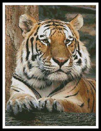 Bengal Tiger 4 - Artecy Cross Stitch