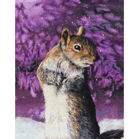 Squirrel by Caroline Lord O'Donovan - Paine Free Crafts