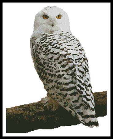 Snowy Owl (No Background) - Artecy Cross Stitch