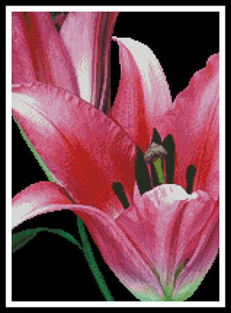Pink Lily - Artecy Cross Stitch
