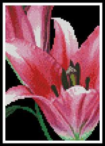 Mini Pink Lily - Artecy Cross Stitch