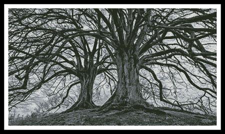 Branching Out (Black And White) - Artecy Cross Stitch