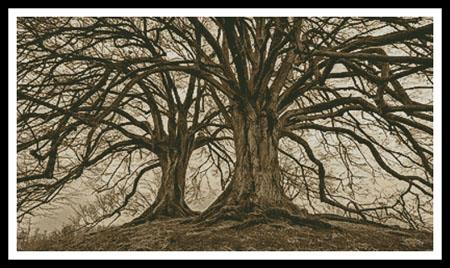 Branching Out (Sepia) - Artecy Cross Stitch