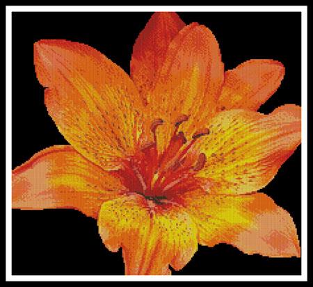 Fire Lily Photo - Artecy Cross Stitch