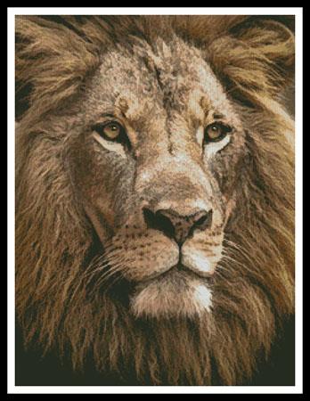 Lion Close Up - Artecy Cross Stitch