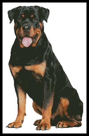 Rottweiler Sitting - Artecy Cross Stitch