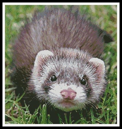 Ferret - Artecy Cross Stitch