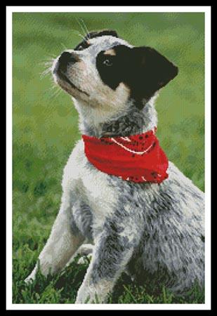 Cattle Dog - Artecy Cross Stitch