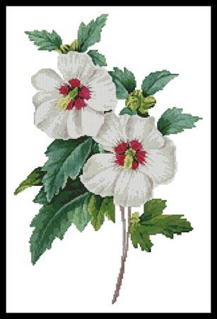 Hibiscus Syricus - Artecy Cross Stitch