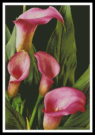 Pink Calla Lilies - Artecy Cross Stitch