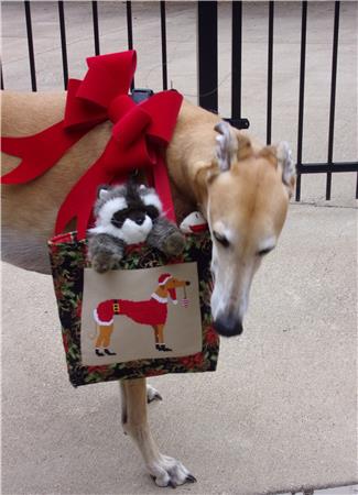 Home For The Holidays Mini Series Tote 3 - Twin Peak Primitives