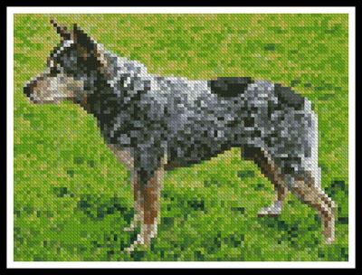Mini Blue Heeler - Artecy Cross Stitch