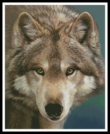The Eyes Of A Hunter - Artecy Cross Stitch